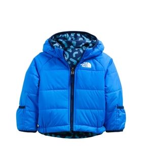 The North Face Winter Jacket